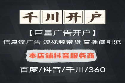 百度竞价与搜索引擎优化（SEO）的协同效应案例