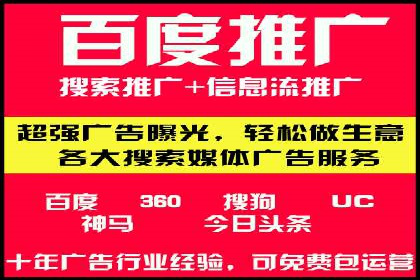 某品牌SEM广告投放效果全解析